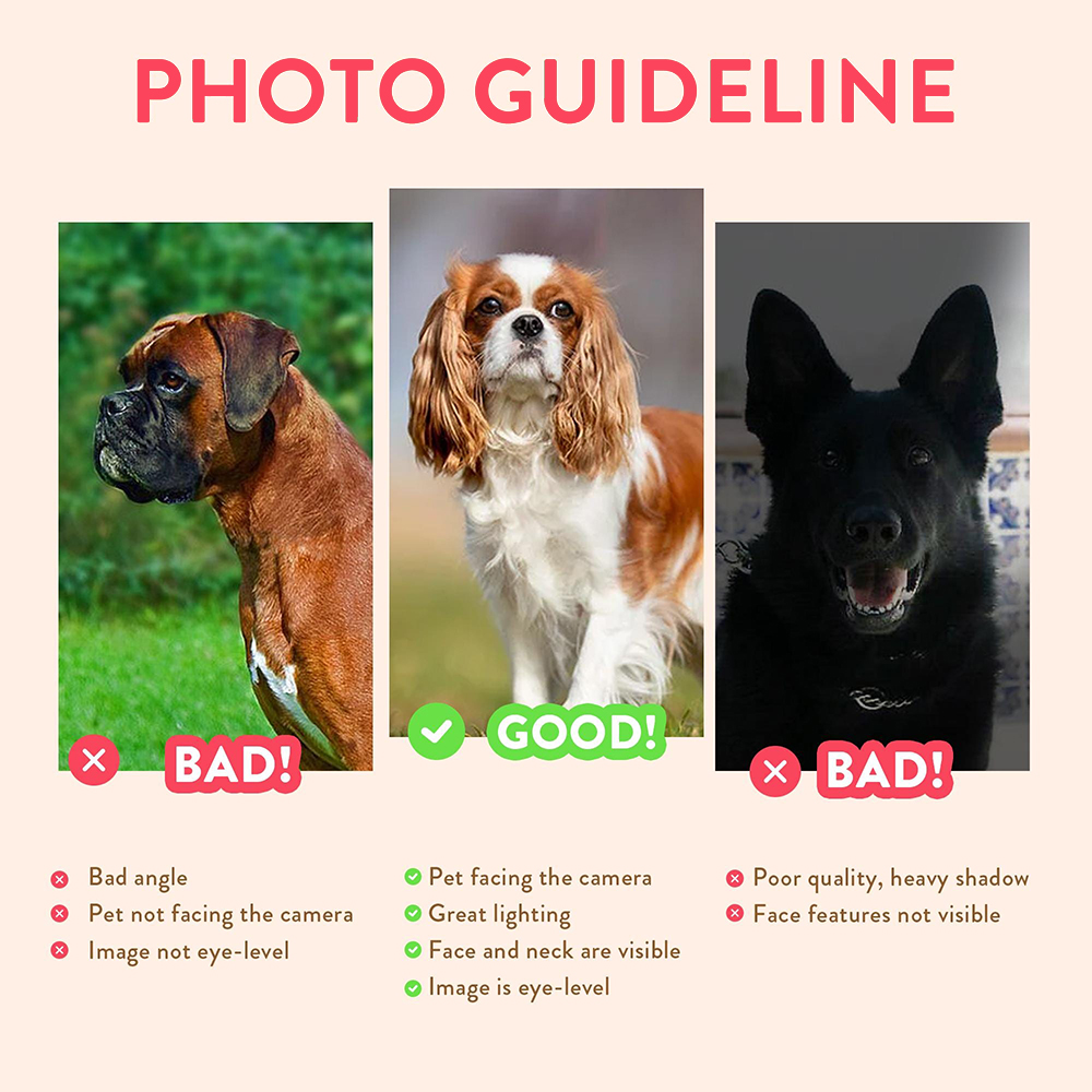 Personalized Pet Portraits Pho - Photographic Memory incelemesi ve fiyatı