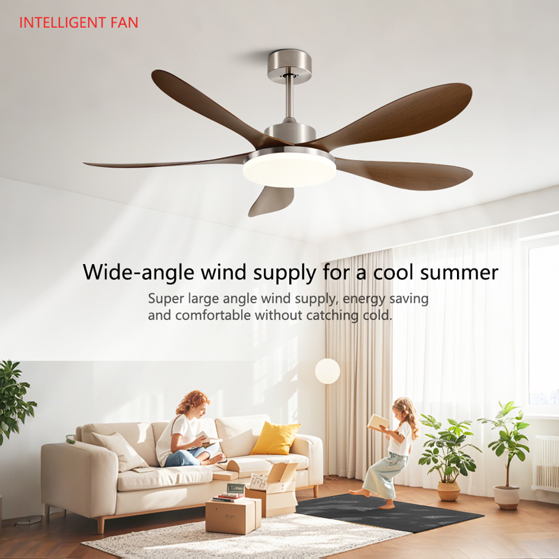 40/46/56inch 5 Blade DC Motor  - Photography Coffee incelemesi ve fiyatı