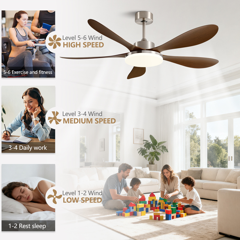 40/46/56inch 5 Blade DC Motor  - Photography Coffee incelemesi ve fiyatı
