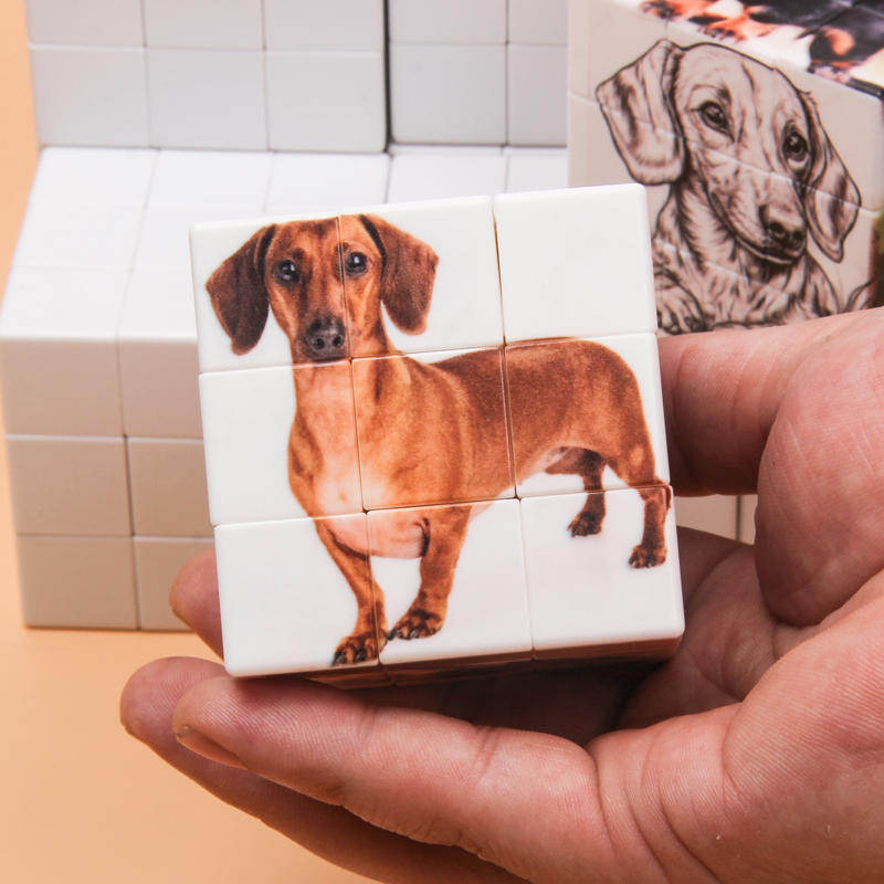 Personalized magic cubes, cust - Photography Exhibition incelemesi ve fiyatı