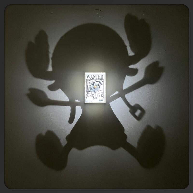 Cartoon Toy One Piece Light Sh - Photography Darkroom incelemesi ve fiyatı